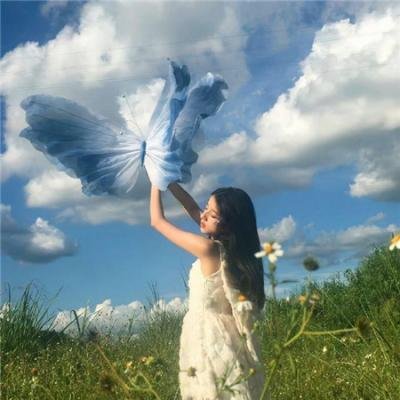 完美姐妹